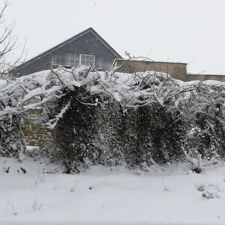 Retreat Near Forest *