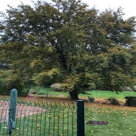 Retreat Near Forest 펜션 *