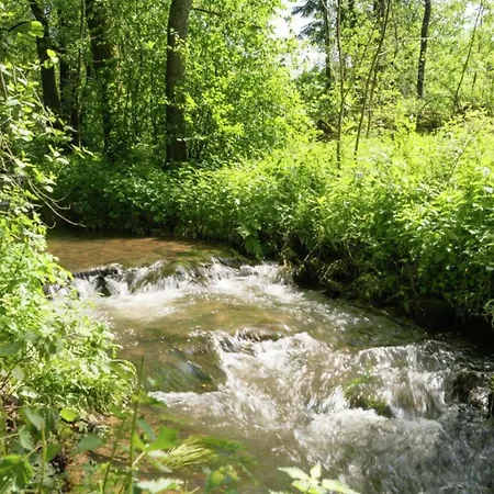 Retreat Near Forest * 韦姆