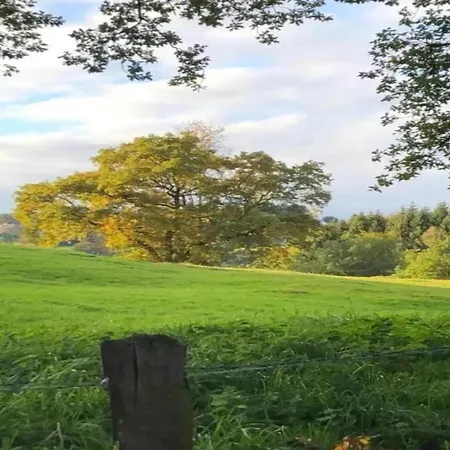 Retreat Near Forest