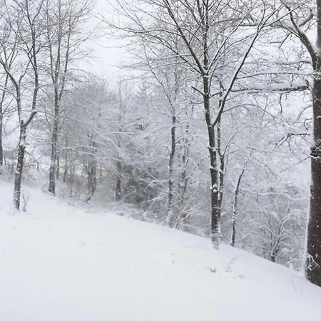 Retreat Near Forest Ferienhaus