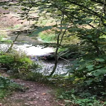 Retreat Near Forest 펜션 *