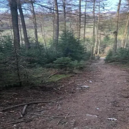 Retreat Near Forest *